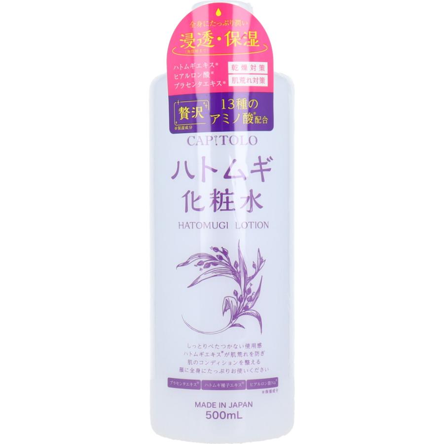 4573512880577 Hatomugi Skin Conditioner 500ml