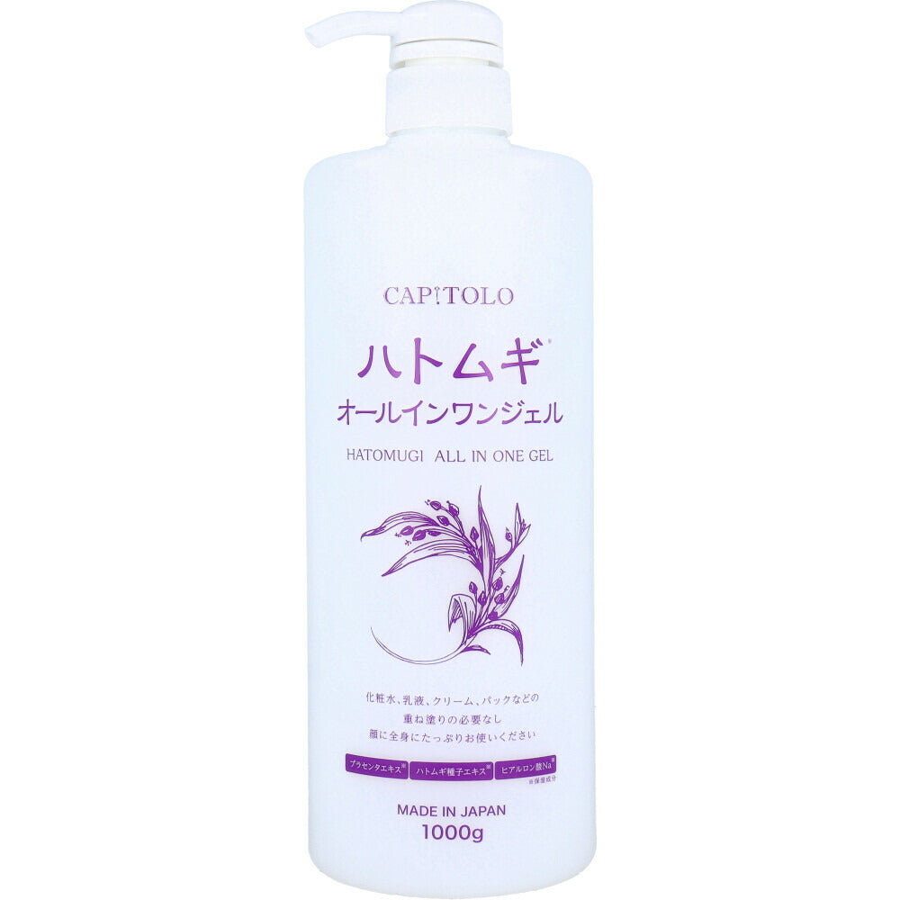 4573512880713 Hatomugi All-in-One Gel 1000g