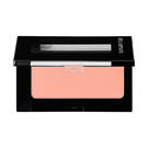 Face Color Refill M345
