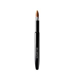 Portable 3D Lip Brush