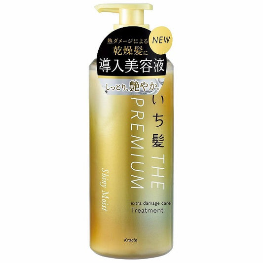 Ichikami Premium Moist Treatment Pump 480ml